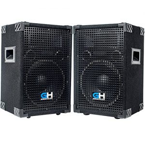 Grindhouse Speakers - Pair of Passive 10 Inch 2-Way