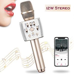 Bluetooth Karaoke Microphone Dual Speaker Loud 12W