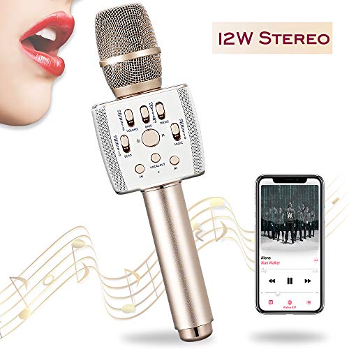 Bluetooth Karaoke Microphone Dual Speaker Loud 12W