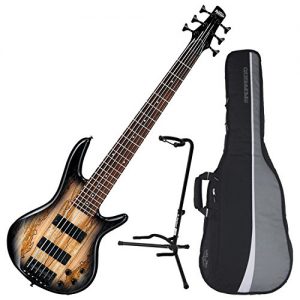 Ibanez 6-String Electric Bass (Natural Grey Burst)