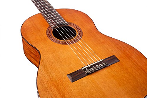 Cordoba Dolce 7/8 Size Acoustic Nylon String Classical Guitar