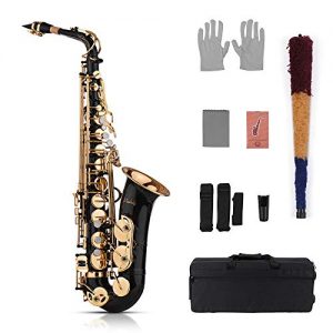 Muslady Eb Alto Saxophone Sax Brass Lacquered Gold