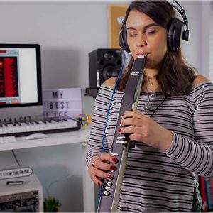 Akai Professional EWI4000S Electronic Wind Instrument with Built-In Sound Module, MIDI, and Touch Sensitive Controls - Image 4