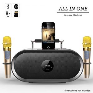 RHM Karaoke Machine for Kids&Adult,2 Wireless Microphones