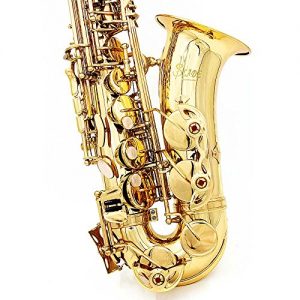 ammoon Saxophone Sax Eb Be Alto E Flat Brass Carved Pattern Set - Image 4
