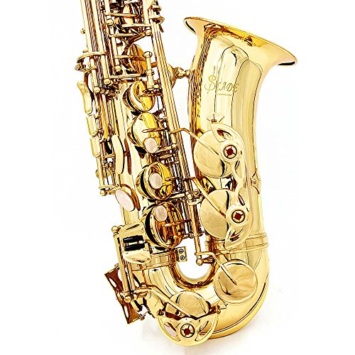 ammoon Saxophone Sax Eb Be Alto E Flat Brass Carved Pattern Set