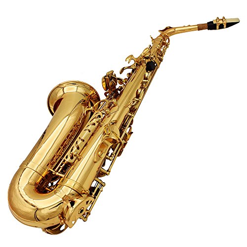ammoon Saxophone Sax Eb Be Alto E Flat Brass Carved Pattern Set