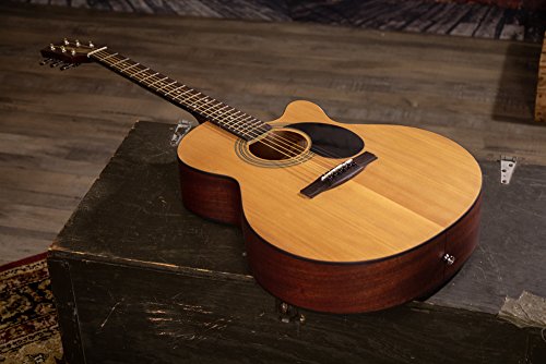 Jasmine NEX Acoustic Guitar