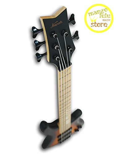 5 String Electric Bass ?