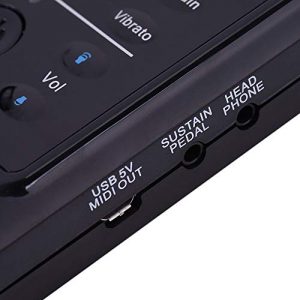 Roll Up Piano, Foldable Thickened Keys Flexible Soft Silicon Electric - Image 2