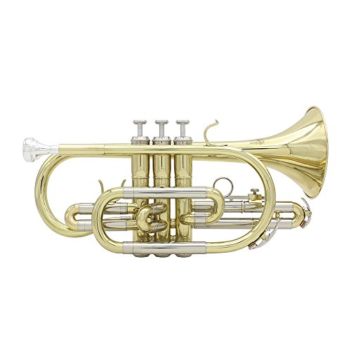 ammoon Bb Flat Cornet Brass Instrument with Carrying Case Gloves Cleaning Cloth Grease Brushes