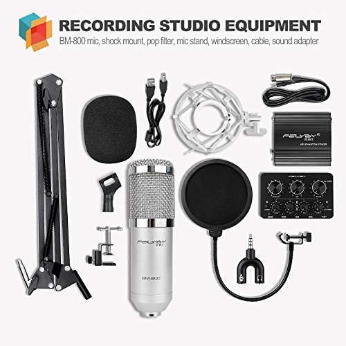 Professional Studio Broadcasting and Recording Capacitor Condenser