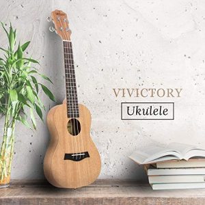 VIVICTORY Soprano Ukulele 21 Inch Mahogany Aquila String With Beginner Kit