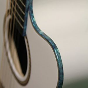 Oscar Schmidt 12-Strings Acoustic Electric Guitar - Image 2