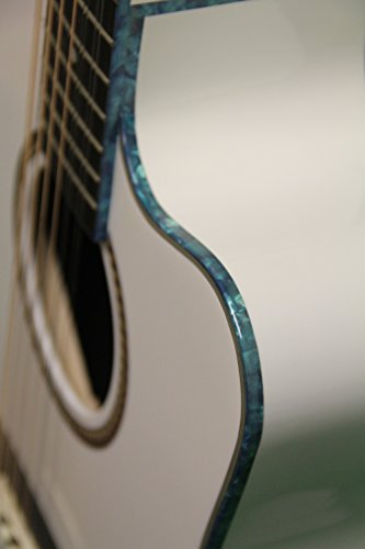 Oscar Schmidt 12-Strings Acoustic Electric Guitar