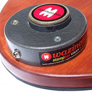 Power Your Performance with Wazinator Classic KSB319 Acoustic Stompbox - Image 4