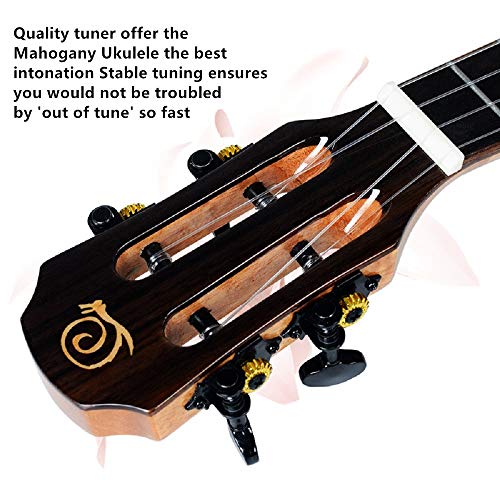 Snail Ukulele Concert Size 23 inch Student Beginner Vintage Solid Ceda Ukelele