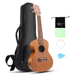 Ukelele Hricane Concert Ukulele 23inch Professional Mahogany Ukele