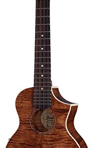 Ibanez, 4-String Ukulele, Right, Open Pore Natural