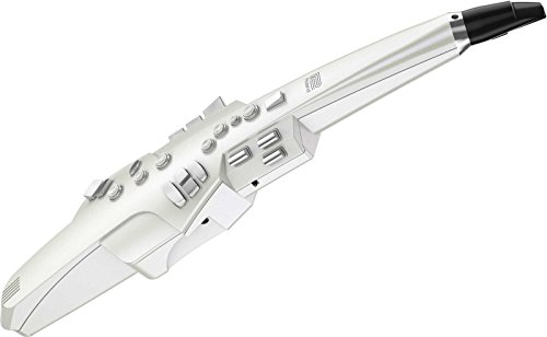 Roland Aerophone Digital Wind Instrument