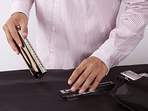 Other Harmonica