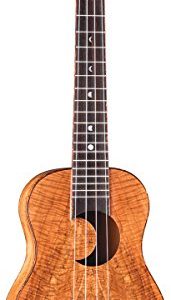 Luna Exotic Series Spalt Maple Concert Ukulele with Crescent Moon Soundhole