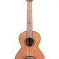 Kala Tenor Acacia Cedar Top Ukulele Gloss Finish Natural