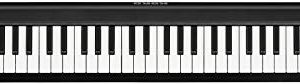 Korg Keyboard Amplifier, 61-Key