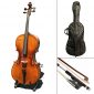 Paititi, 4-String Acoustic Cello