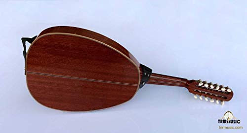 Professional Arabic Electric Oud Ud String Instrument Oude