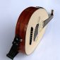 Professional Arabic Electric Oud Ud String Instrument Oude