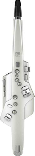 Roland Aerophone Digital Wind Instrument