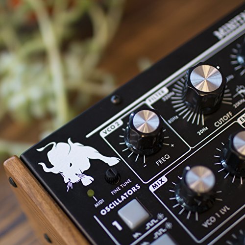 Moog Minitaur Bass Synthesizer