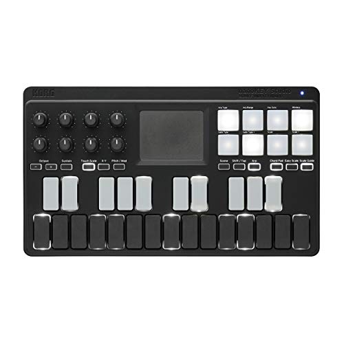 Korg NANOKEY-ST Midi Controller with Knox Gear 4-Port USB