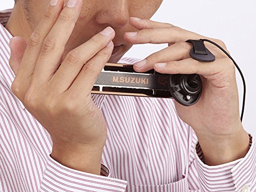 Other Harmonica