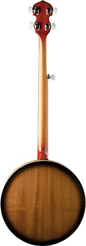 Washburn Banjo, 5 String