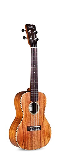 Cordoba Guitars 25C Concert Ukulele