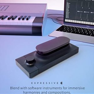 Expressive E Touche SE USB Instrument Control Surface for Software Synthesizers - Image 3