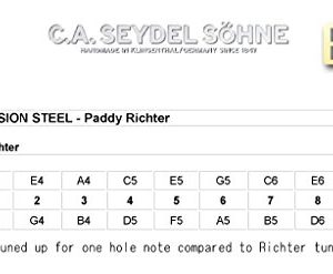 SEYDEL Blues SESSION STEEL Paddy Richter Harmonica C - Image 4
