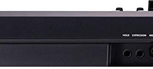 Roland 49-key MIDI Keyboard Controller Black - Image 3