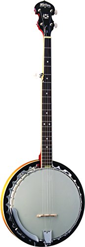 Washburn Banjo, 5 String