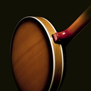 Washburn Banjo, 5 String - Image 4