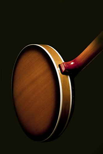 Washburn Banjo, 5 String