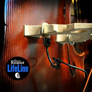 Realist Orchestral String Instrument Part
