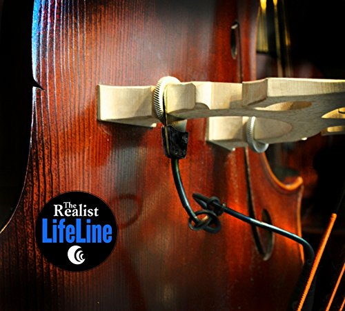 Realist Orchestral String Instrument Part