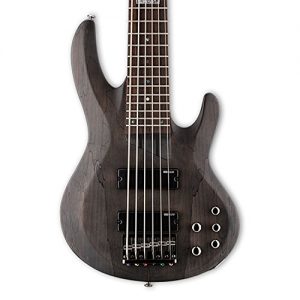 ESP LTD Spalted Maple 6-String Bass Guitar, See Thru Black Satin