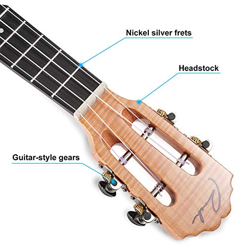 Ranch Concert Ukulele 23 inch Spruce Solid Top+ Maple Tiger Grain Side