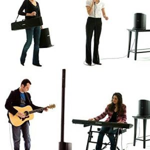 Bose L1 Compact w/ carry Case & Bluetooth Adapter - Image 2