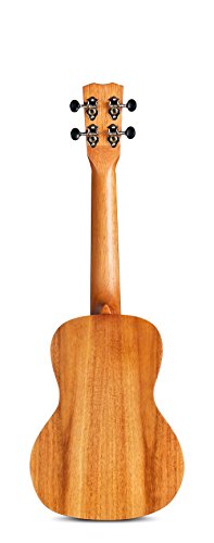 Cordoba Guitars 25C Concert Ukulele