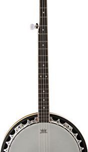 Washburn Banjo, 5 String - Image 2